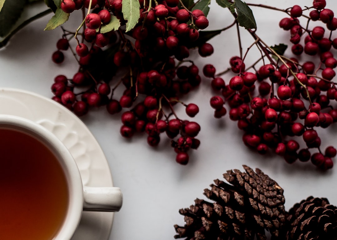 Photo Ballerina tea: Herbal tea